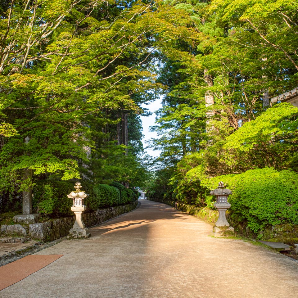 壇上伽藍 ヴィジュアルガイド - Danjo Garan Virtual Guide